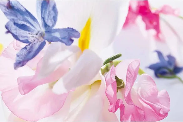 PARFUM MISS DIOR EAU DE PARFUM
Eau de Parfum