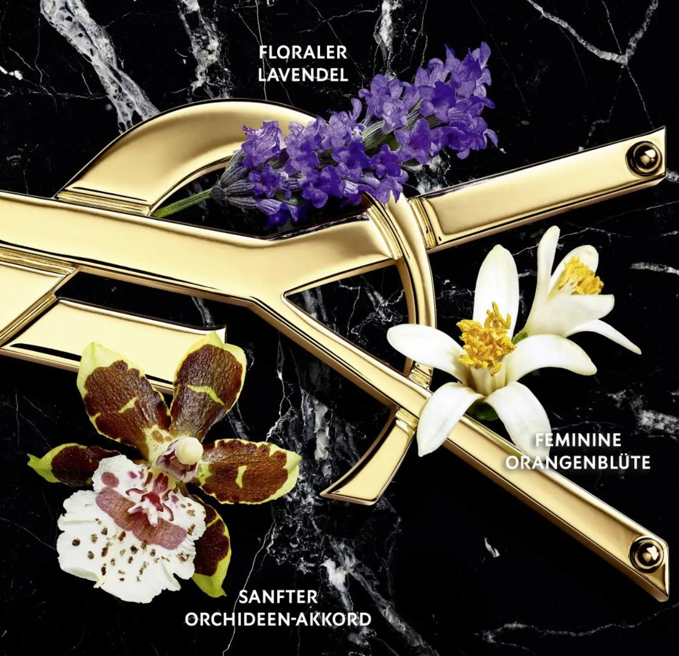 Yves Saint Laurent Libre Eau de Parfum Intense VLP.LIFE
