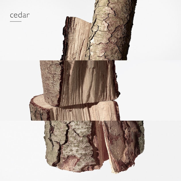 PARFUM TERRE D’HERMÈS PURE
Eau de Parfum