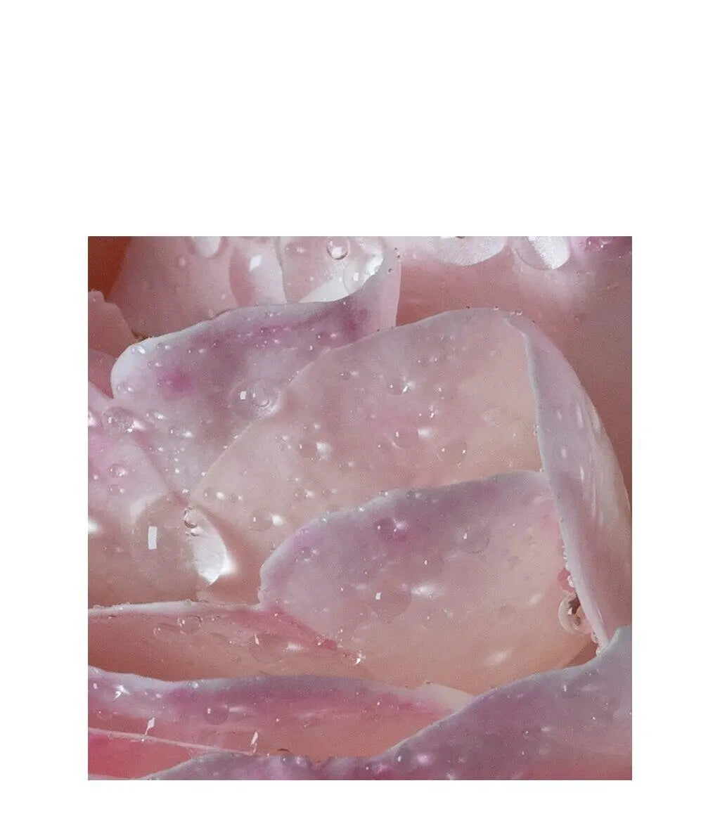 Maison Francis Kurkdjian L’Eau À la Rose Eau de Toilette 70 ml – Light Floral Perfume for Women | Elegant, Fresh & Romantic | Buy Online at VLP.Life VLP.LIFE