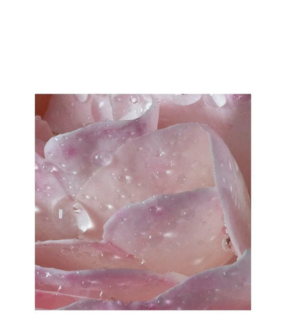 Maison Francis Kurkdjian L’Eau À la Rose Eau de Toilette 70 ml – Light Floral Perfume for Women | Elegant, Fresh & Romantic | Buy Online at VLP.Life VLP.LIFE
