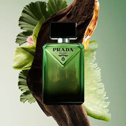 PARFUM PARADIGME 
Eau de Parfum VLP.LIFE