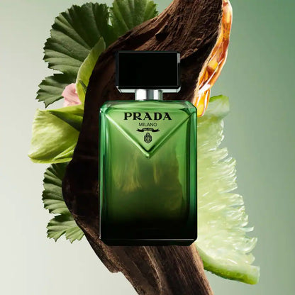 Prada Paradigms Parada