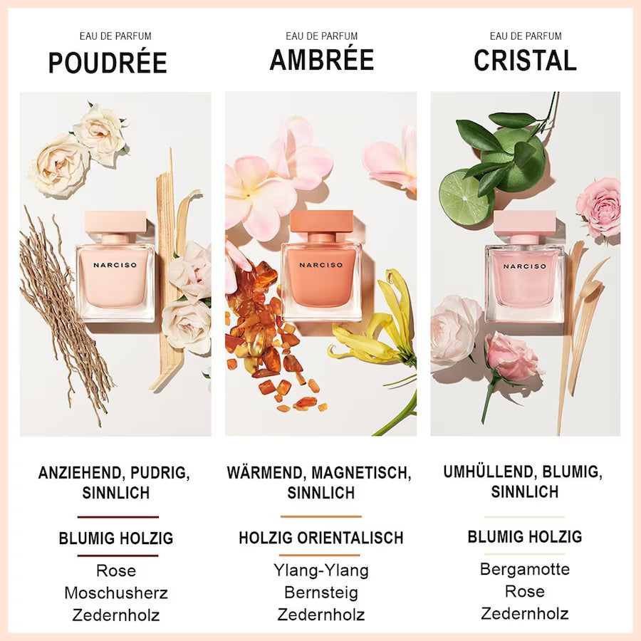 NARCISO AMBRÉE NARCISO