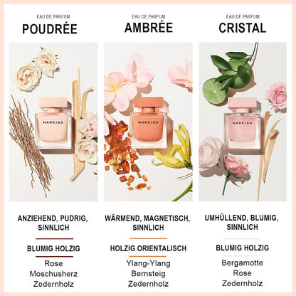 NARCISO AMBRÉE NARCISO