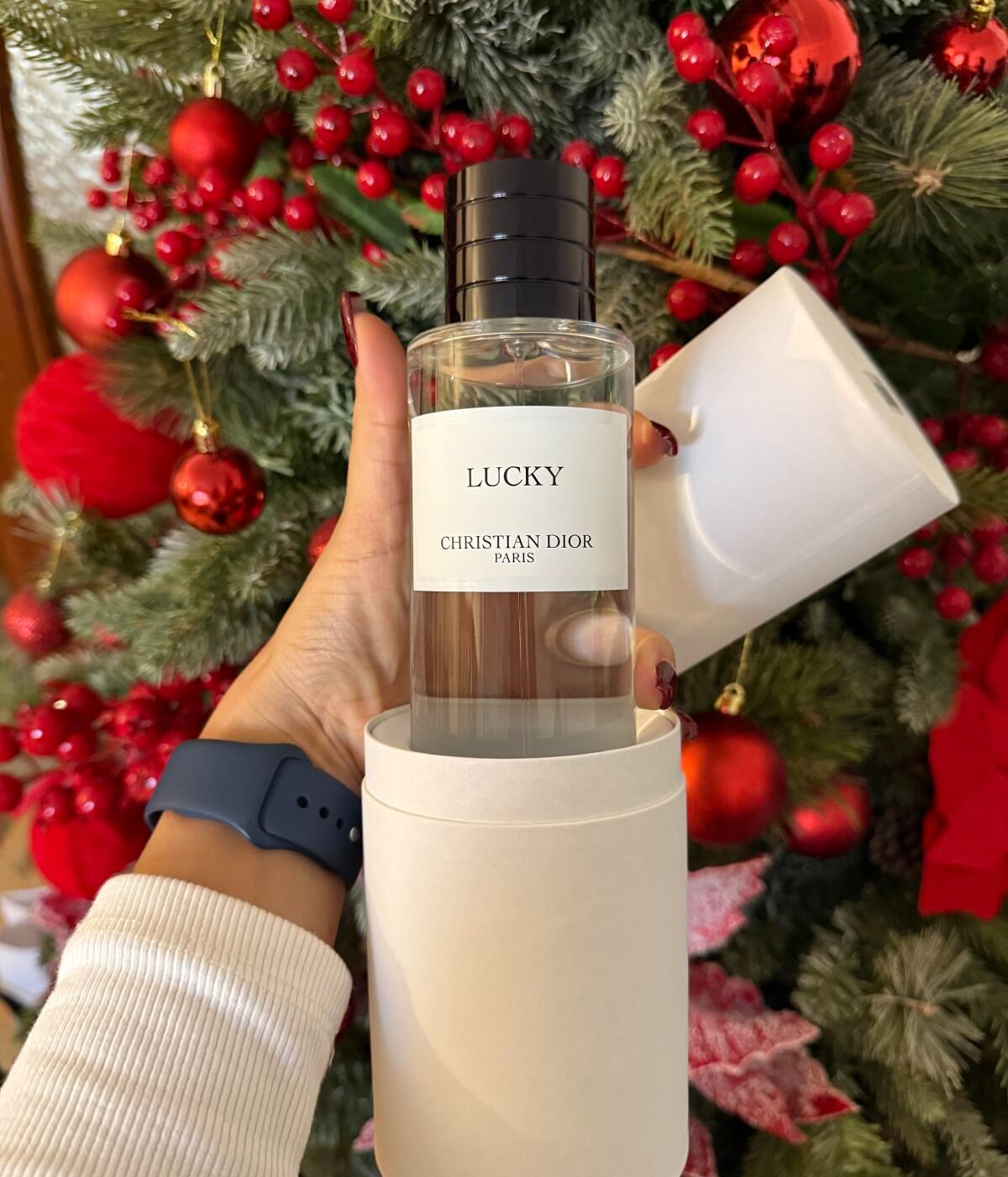 LUCKY WIND CHIM - BY DIOR