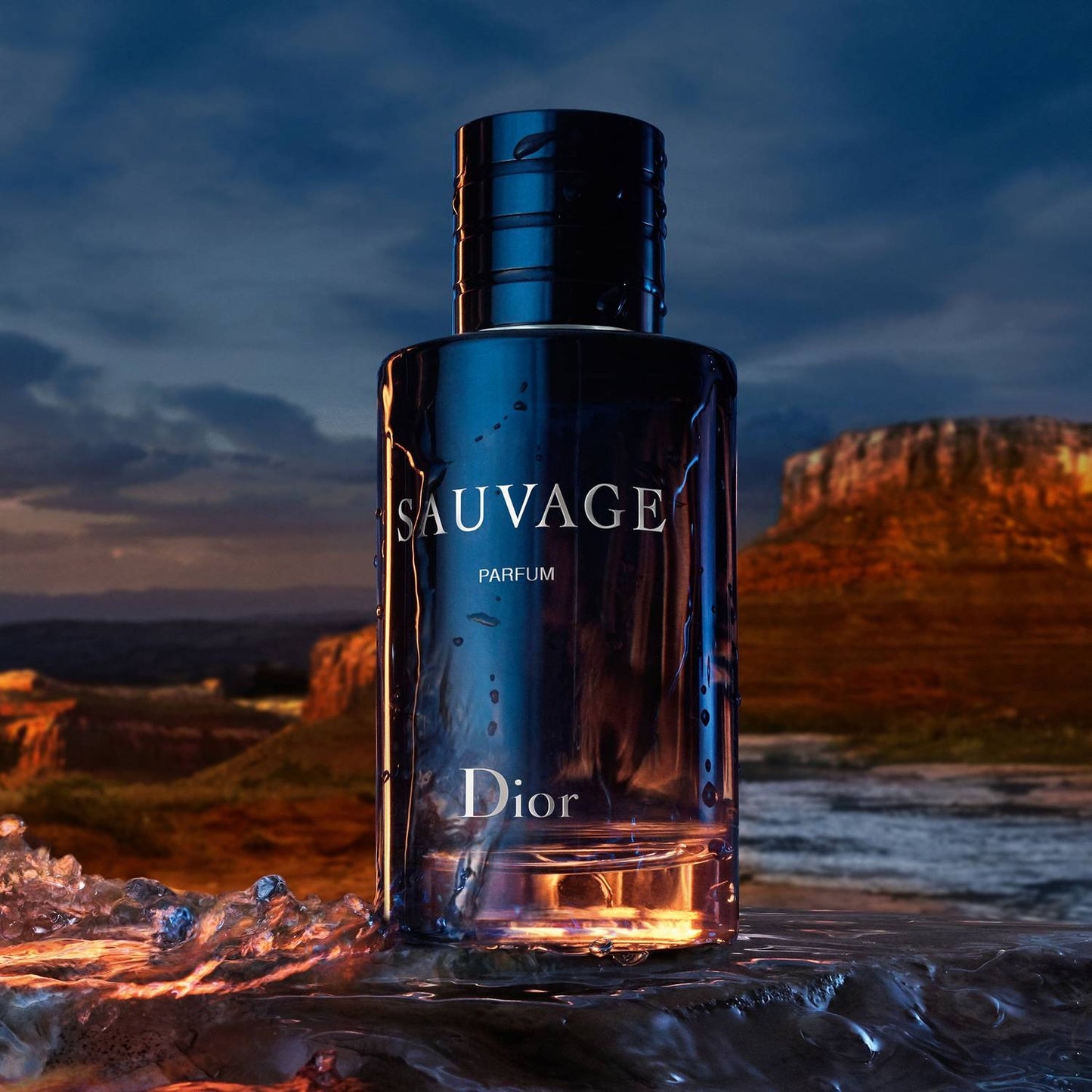 SAUVAGE STROLL BY-DIOR🔥
