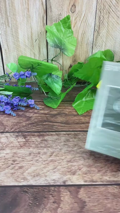 TOILETTE POUR HOMME BVLGARI POUR HOMME
Eau de Toilette